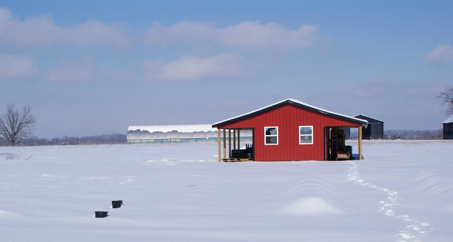 Only 1 Ingredient Pet Treat: Beef Heart